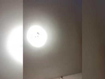 Oyster-lemon webcam bongacams model stream image