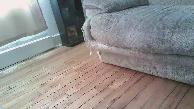 batmike webcam model stream image