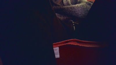 mascalzonelatin webcam cam4 model stream image