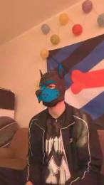 Pup_Hunter_1987 webcam model stream image