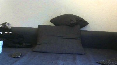 Stgt_Bi_Sau webcam model stream image