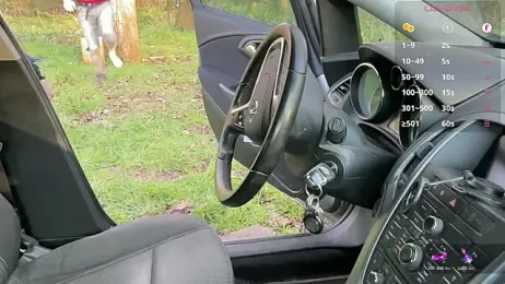 breizh22BB webcam stripchat model stream image