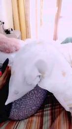 cagna25 webcam model stream image