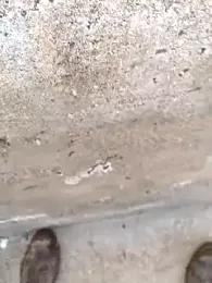 murokkk31 webcam model stream image