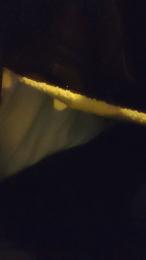 Guapocuerpo4 webcam model stream image