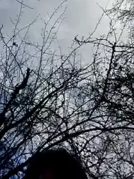 twitshe webcam stripchat model stream image