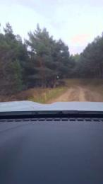 Gerontofilia webcam cam4 model stream image