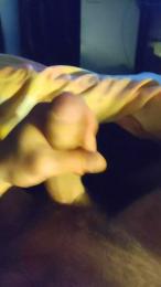 Vittosto webcam model stream image