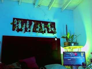 hannilest webcam model stream image