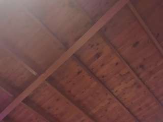 valerioledger webcam model stream image