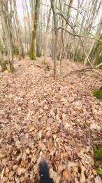 Legtiste webcam model stream image