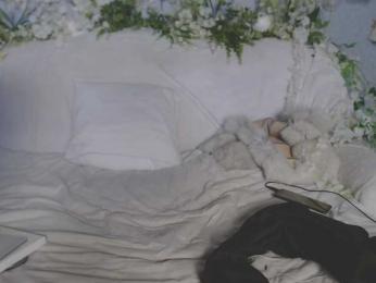 ViteR_ webcam model stream image