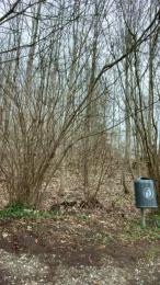 crazythot webcam model stream image