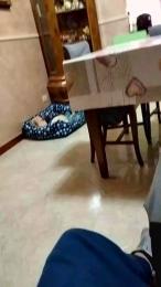 Mirko843 webcam model stream image