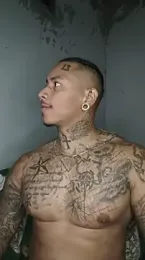 David_tatto1 webcam model stream image