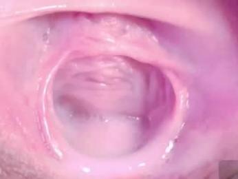 orchidekitty webcam model stream image