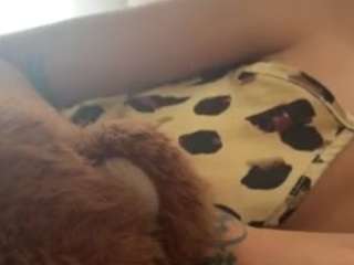 toxyo-x webcam model stream image