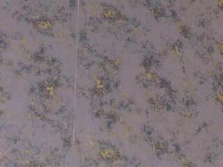 Emma Robi webcam model stream image