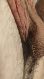 dannidanniel webcam model stream image