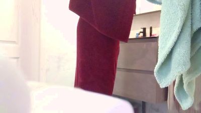 leobau webcam model stream image