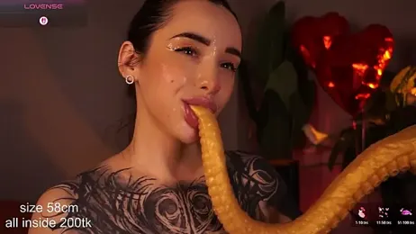 EvaCanton webcam model stream image