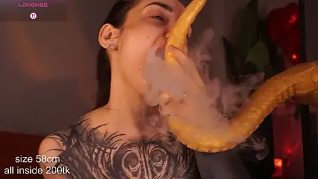 EvaCanton webcam model stream image