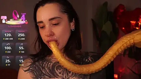 EvaCanton webcam model stream image