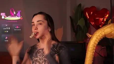 EvaCanton webcam model stream image