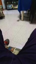 Brutuss webcam model stream image