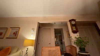 Mtl101 webcam model stream image