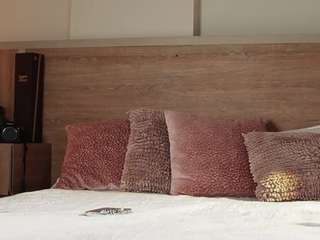 alicee-love webcam model stream image