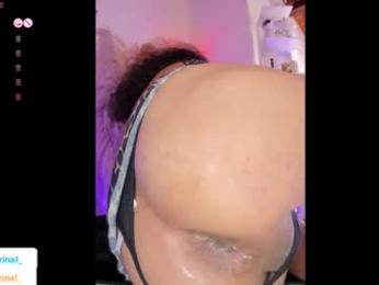 lacolorina webcam model stream image