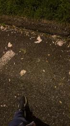 lucapublic webcam cam4 model stream image