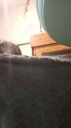 Joel3590 webcam model stream image