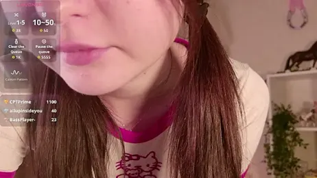 LeraKit webcam model stream image