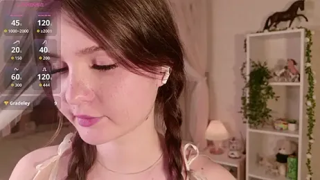 LeraKit webcam model stream image