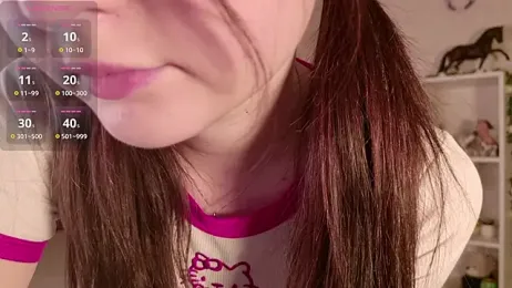 LeraKit webcam model stream image