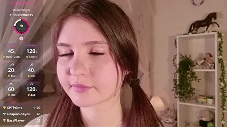 LeraKit webcam model stream image