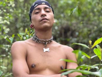 JaydenRoux webcam model stream image