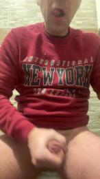 KOALA3030 webcam model stream image