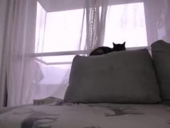 milostructor webcam model stream image