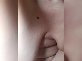 SG-310 webcam model stream image