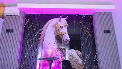 Handsome_boys_ webcam cam4 model stream image