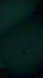 romerin20 webcam model stream image