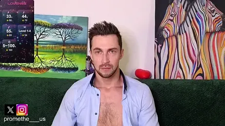 Promethe_us webcam model stream image