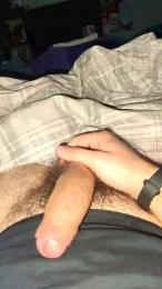 Stan9341 webcam model stream image