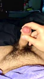 Stan9341 webcam model stream image