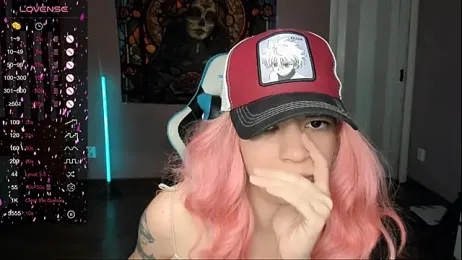 Project_hisoka webcam model stream image