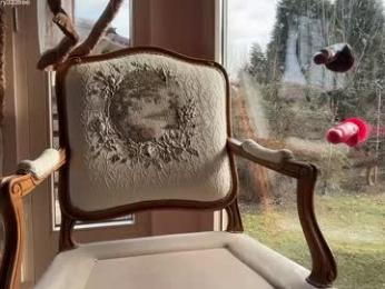 patry333 webcam chaturbate model stream image