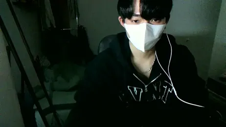 max5388 webcam model stream image